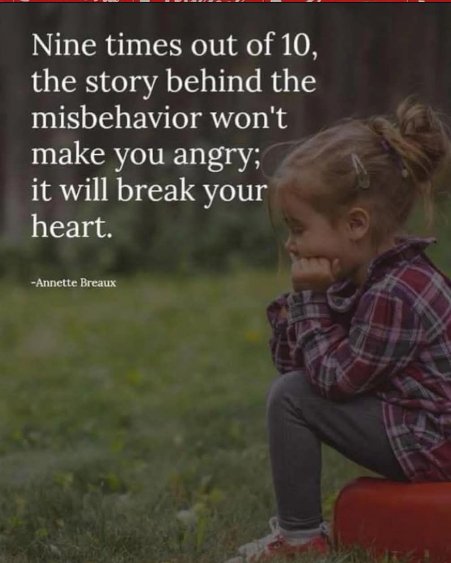 Nine times out of ten, the story behind the misbehavior won't make you angry — it will break your heart. — Annette Breaux